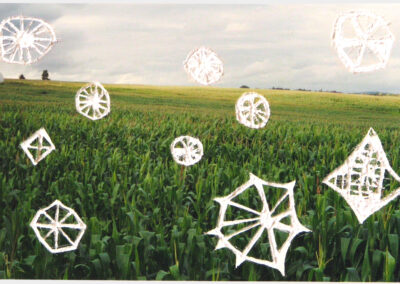 Matte photo with incisions, cornfield with circular shapes